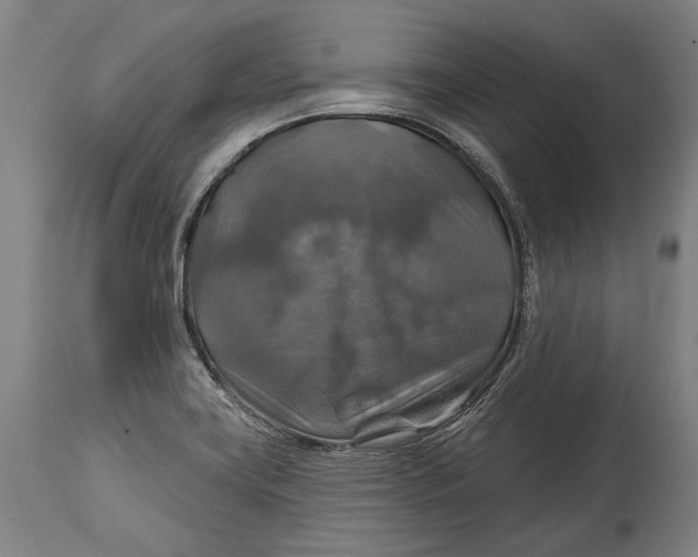 X0000114611419200911101142