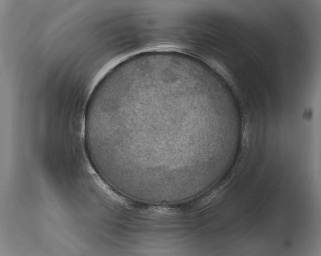 X0000114611420200911101142