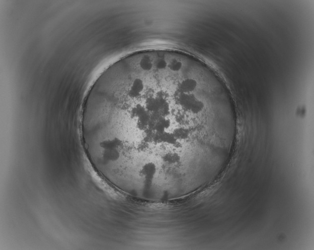 X0000114611421200911101142