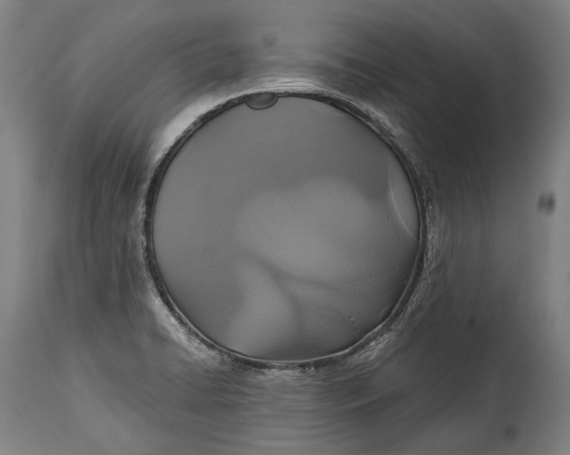 X0000114611422200911101142