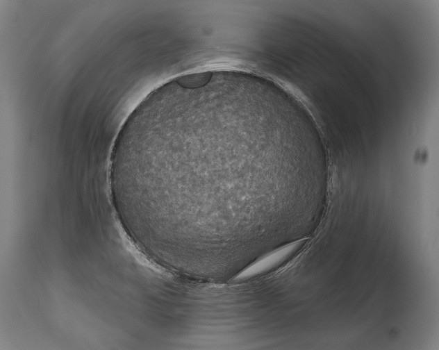 X0000114611423200911101142