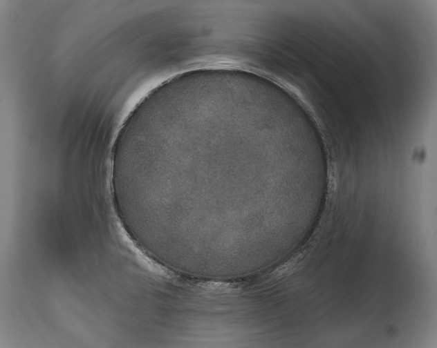 X0000114611424200911101142