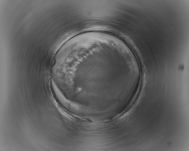 X0000114611425200911101142