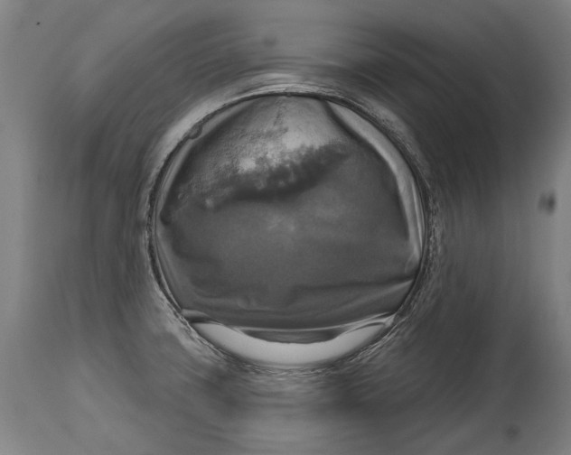 X0000114611427200911101142