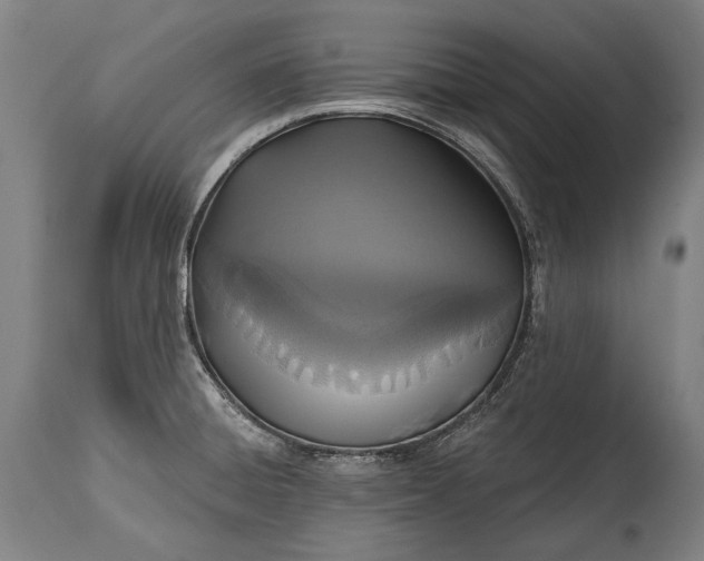 X0000114611428200911101142