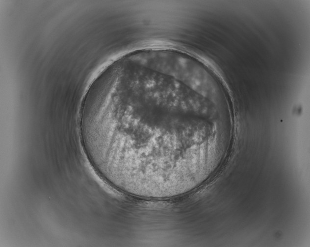 X0000114611429200911101142