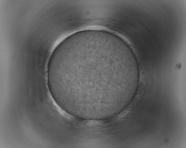 X0000114611430200911101142