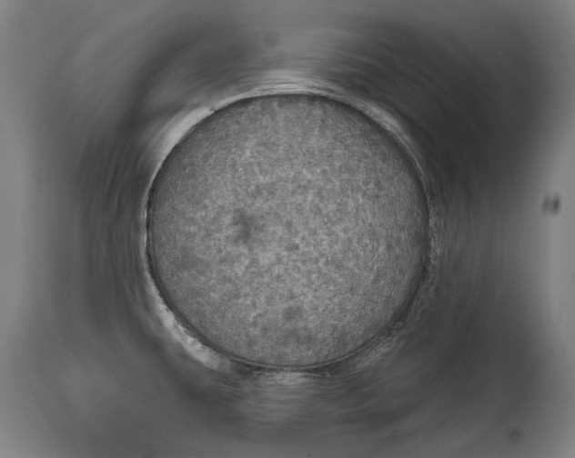 X0000114611431200911101142