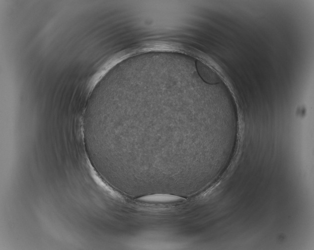 X0000114611433200911101142