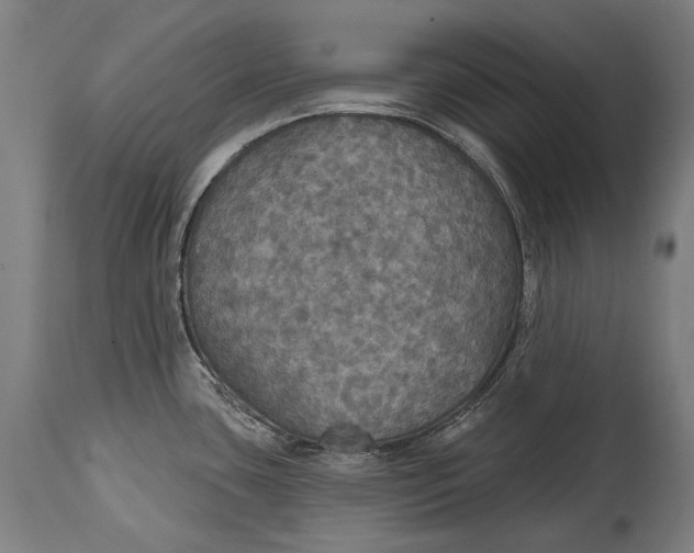 X0000114611435200911101142