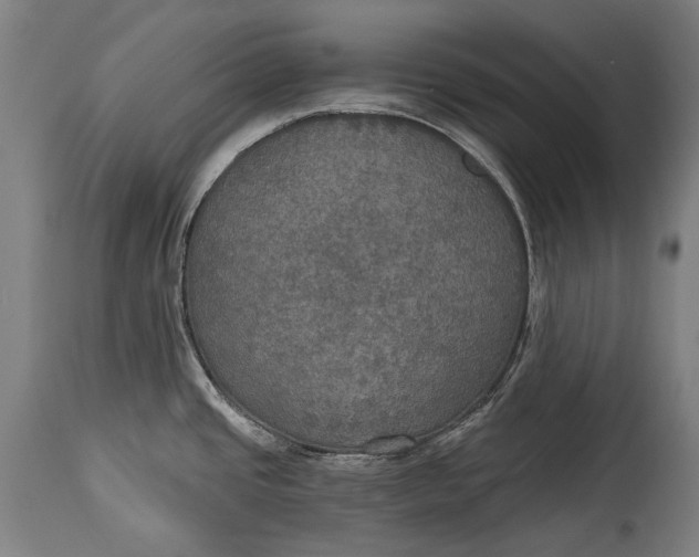 X0000114611437200911101142