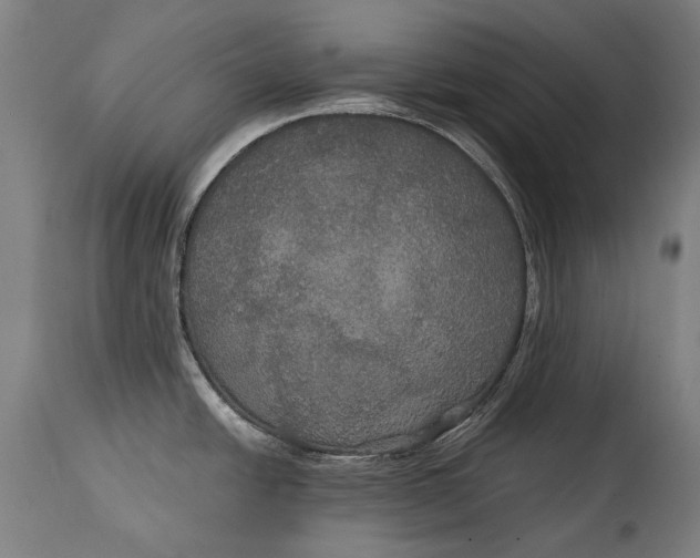 X0000114611438200911101142