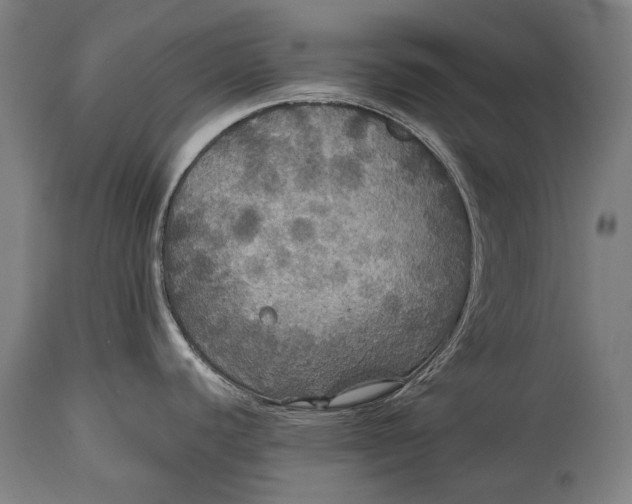 X0000114611440200911101142