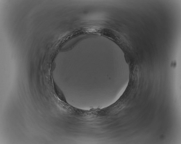 X0000114611441200911101141