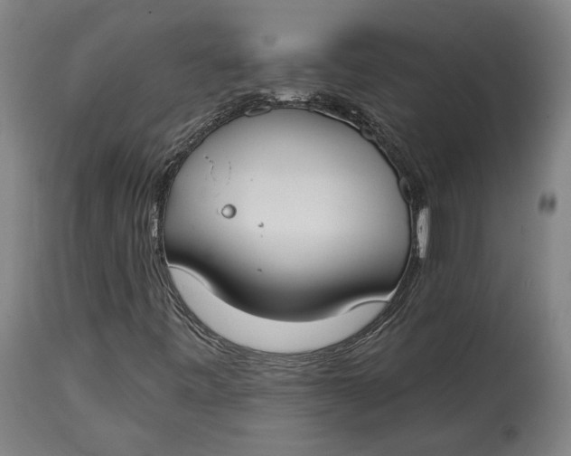 X0000114611443200911101141