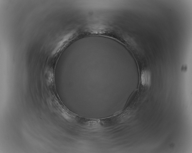 X0000114611444200911101141