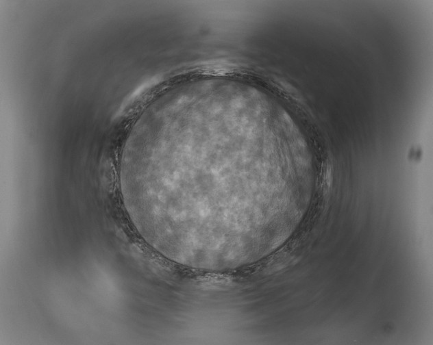 X0000114611446200911101141