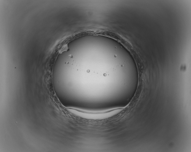 X0000114611447200911101141