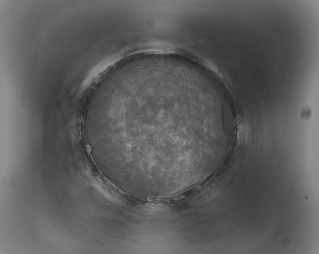 X0000114611448200911101141