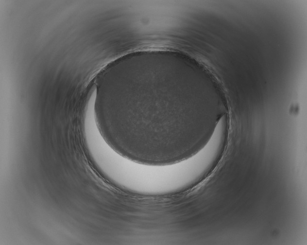 X0000114611449200911101141