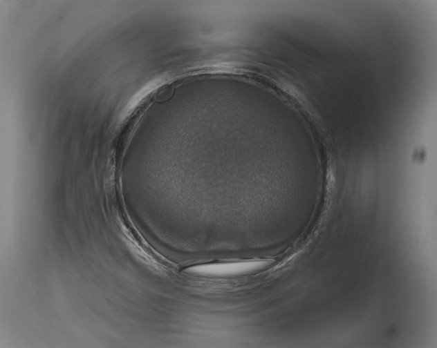 X0000114611450200911101141