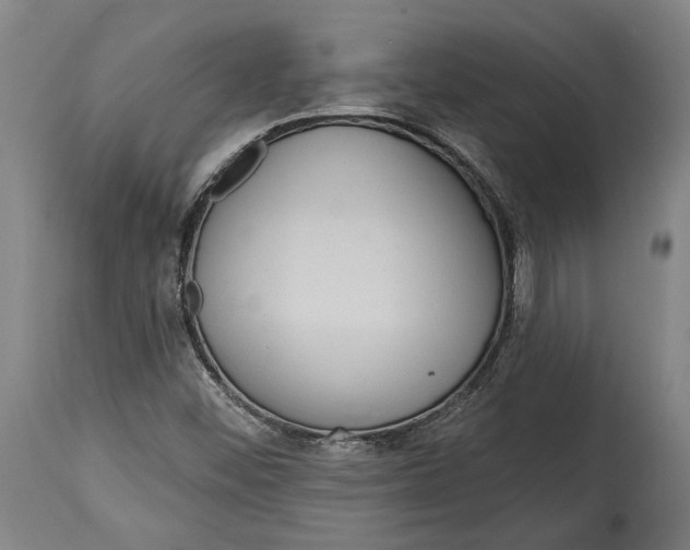 X0000114611452200911101141