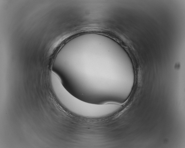 X0000114611453200911101141