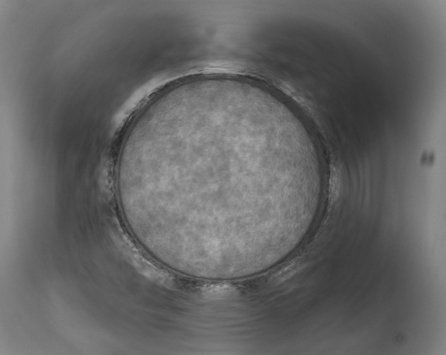 X0000114611454200911101141