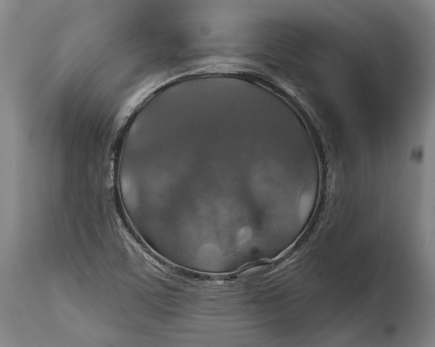 X0000114611459200911101141