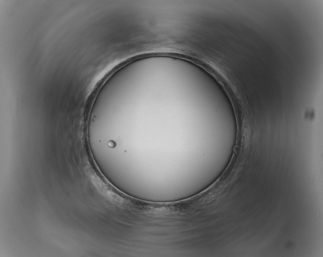 X0000114611460200911101141