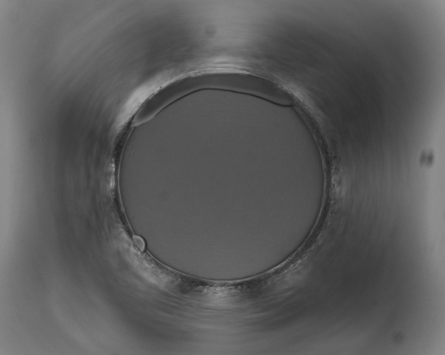 X0000114611461200911101141