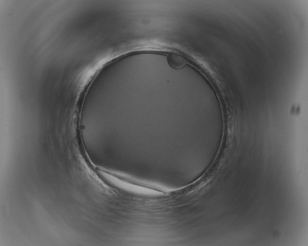 X0000114611463200911101141