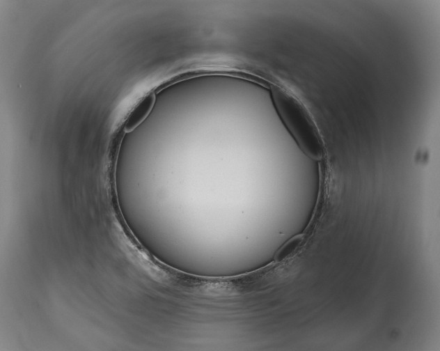 X0000114611464200911101141