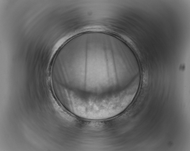 X0000114611466200911101141