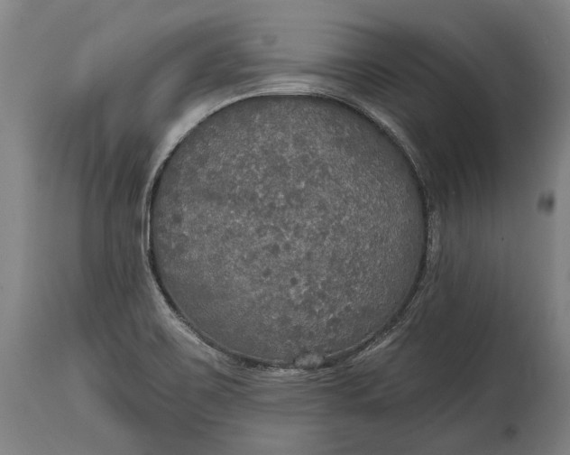 X0000114611467200911101141