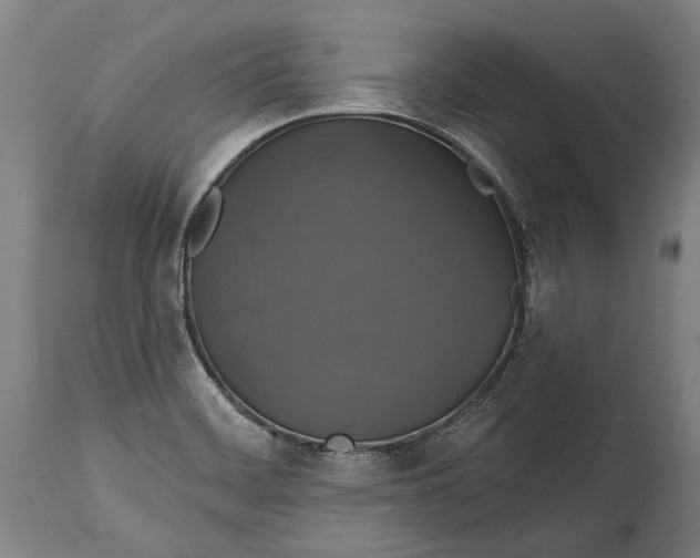 X0000114611468200911101141