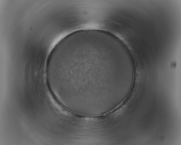 X0000114611469200911101141