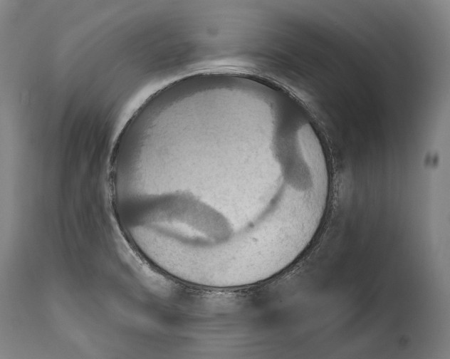 X0000114611470200911101141