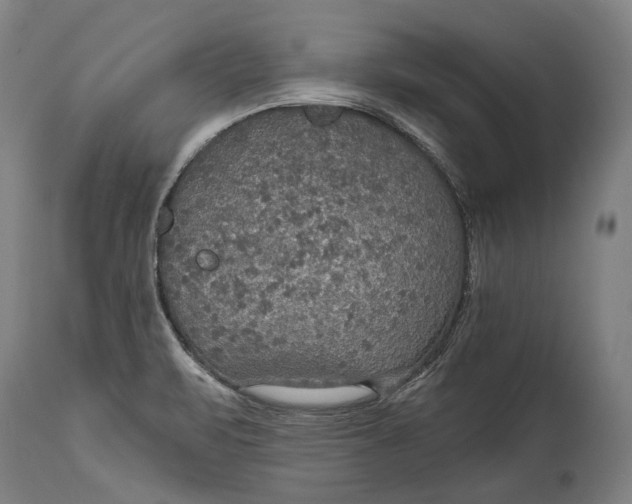 X0000114611471200911101141