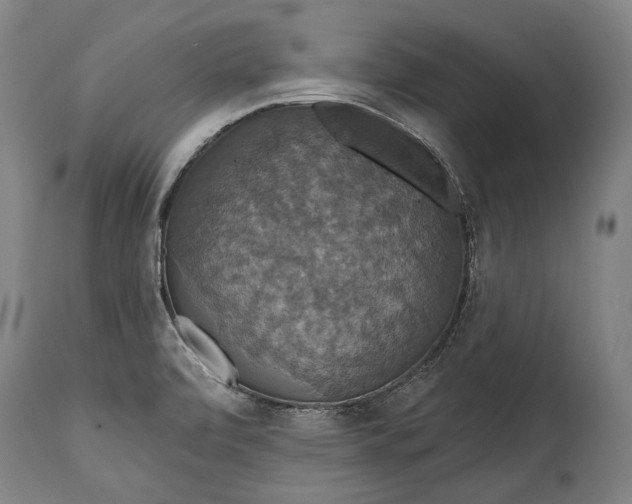 X0000114611472200911101141