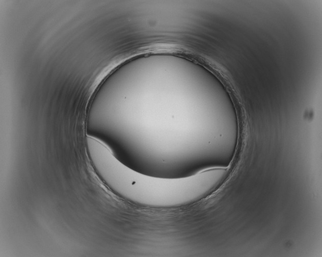 X0000114611473200911101141