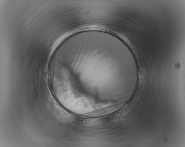 X0000114611474200911101141