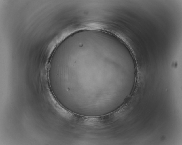 X0000114611477200911101141