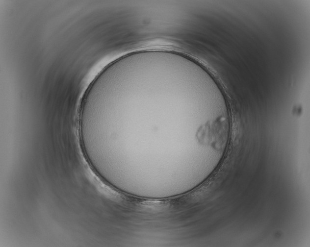 X0000114611478200911101141