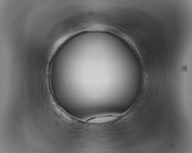 X0000114611480200911101141