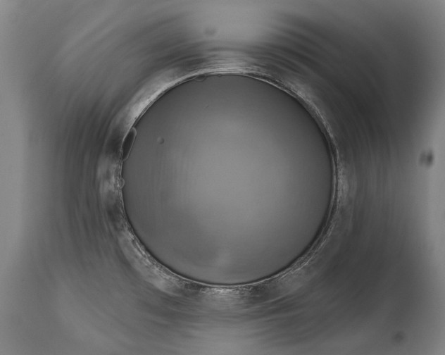 X0000114611481200911101141