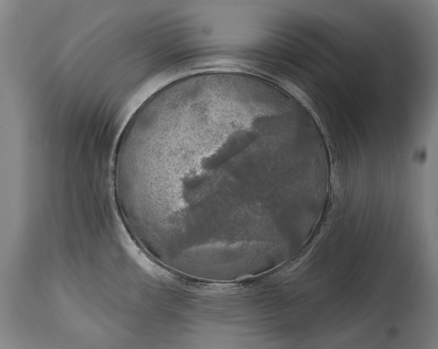 X0000114611482200911101141