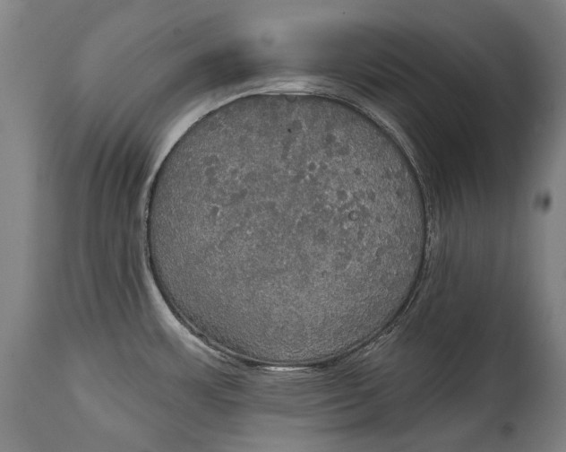 X0000114611483200911101141