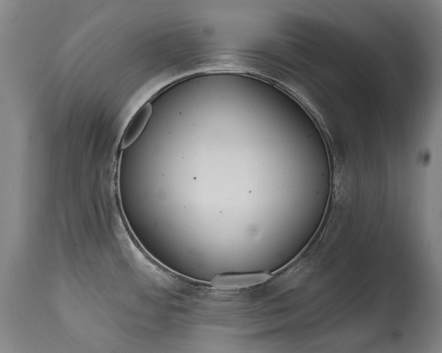 X0000114611484200911101141