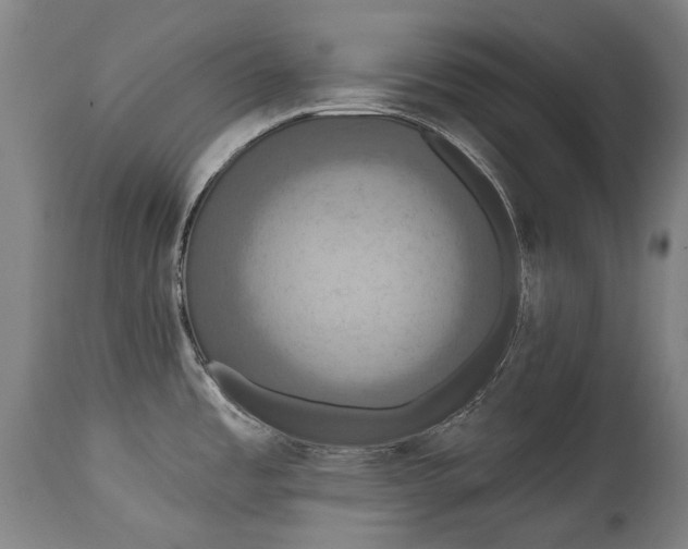 X0000114611485200911101141